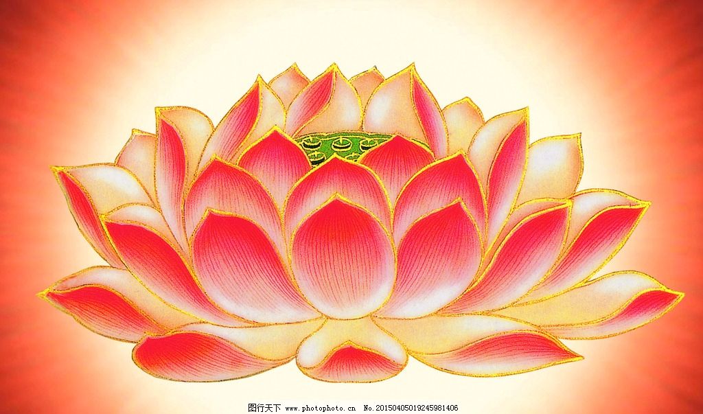 佛莲花图片大全内容|佛莲花图片大全图片图片