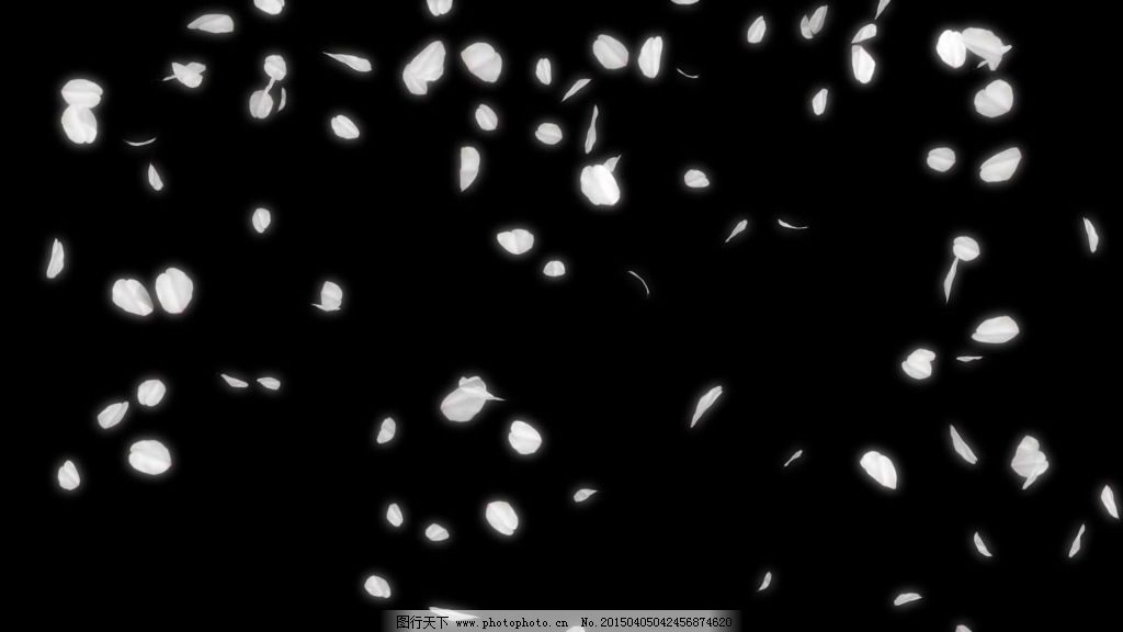 樱花瓣飘落动态素材2图片