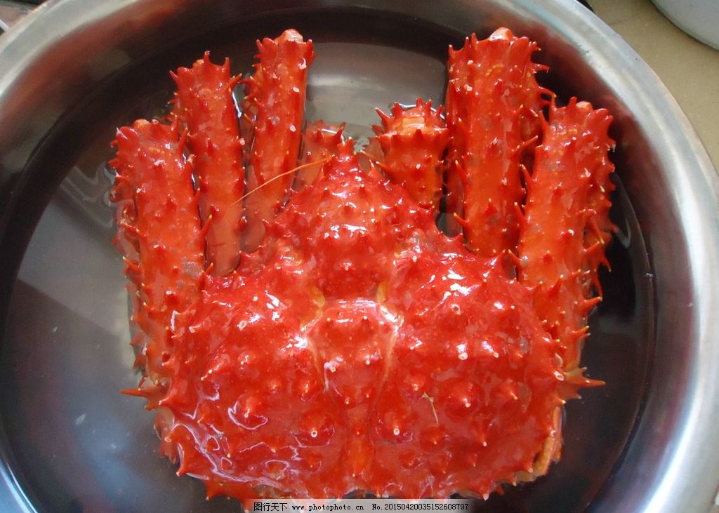 帝王蟹 螃蟹 海洋蟹 红蟹 大闸蟹 海鲜 超清图库 摄影 生物世界 海洋图片