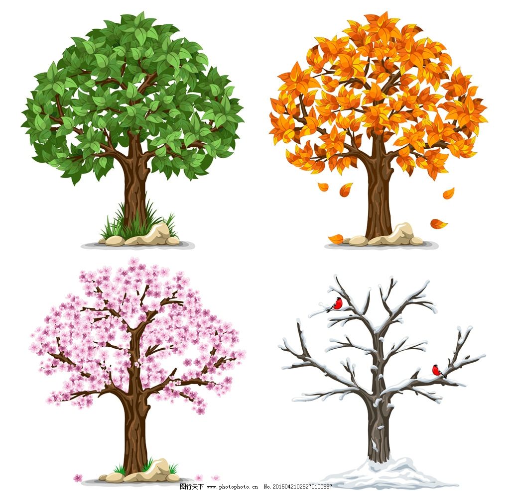 漂亮的四季树图片素材-编号28179866-图行天下