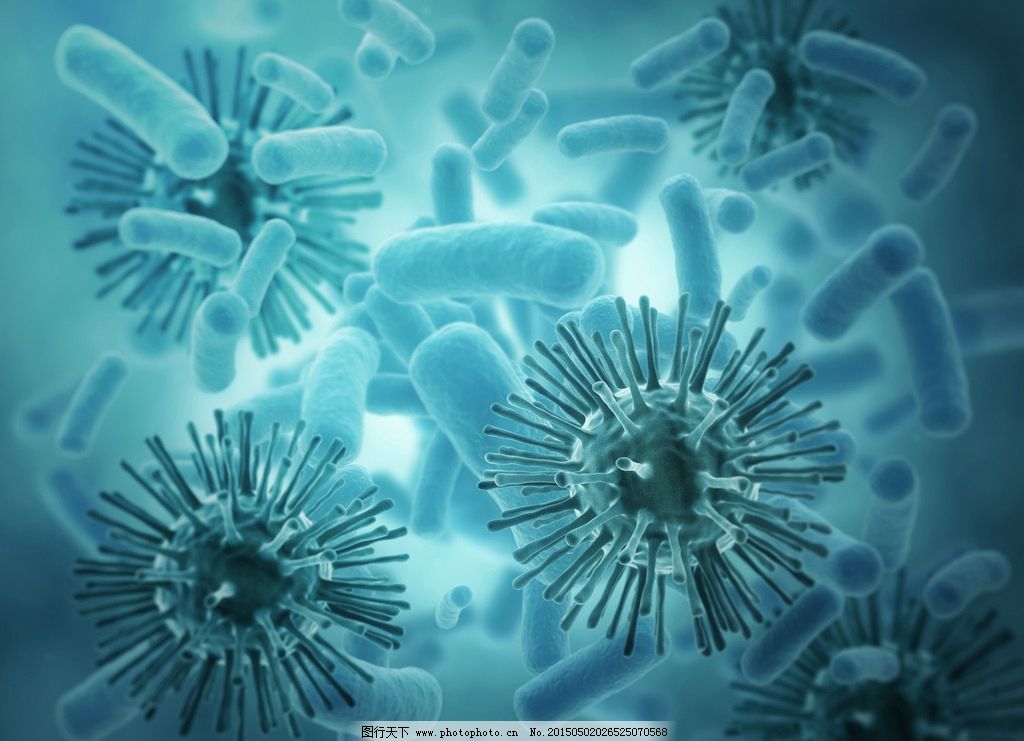 病毒和细菌是生物吗 利用菌类对污水进行处理的净化结构