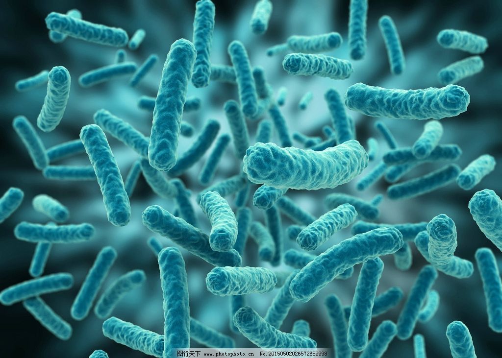 病毒和细菌是生物吗_sars病毒怎么引起_石头是生物吗