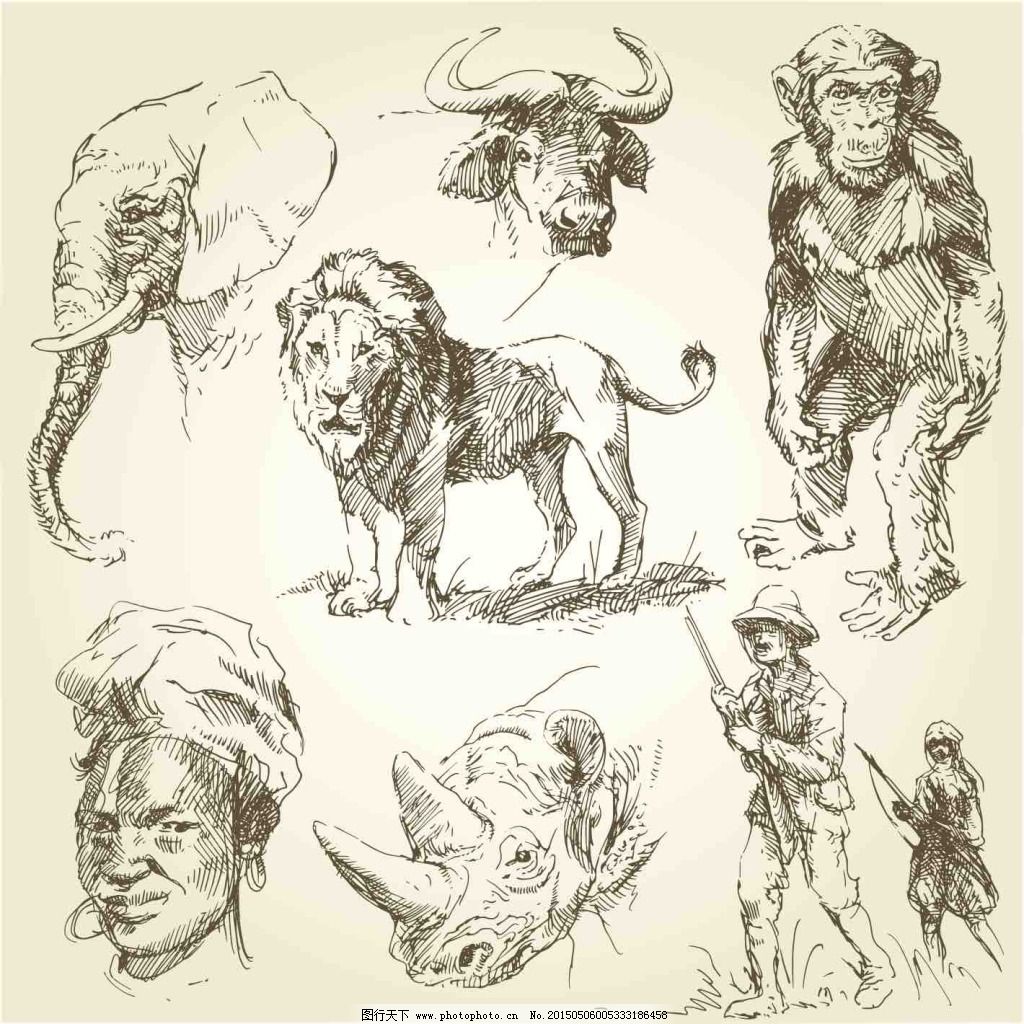 插画 大象 动物 复古 剪影 简笔画 美术绘画 人物 生物世界 狮子 手绘动物 狮子 大象 水牛 人物 士兵 土著 犀牛 野生动物 手绘素描动物 手绘 剪影 素描 复古 简笔画 插画 动物 生物世界 美术绘画 矢量图 广告设计