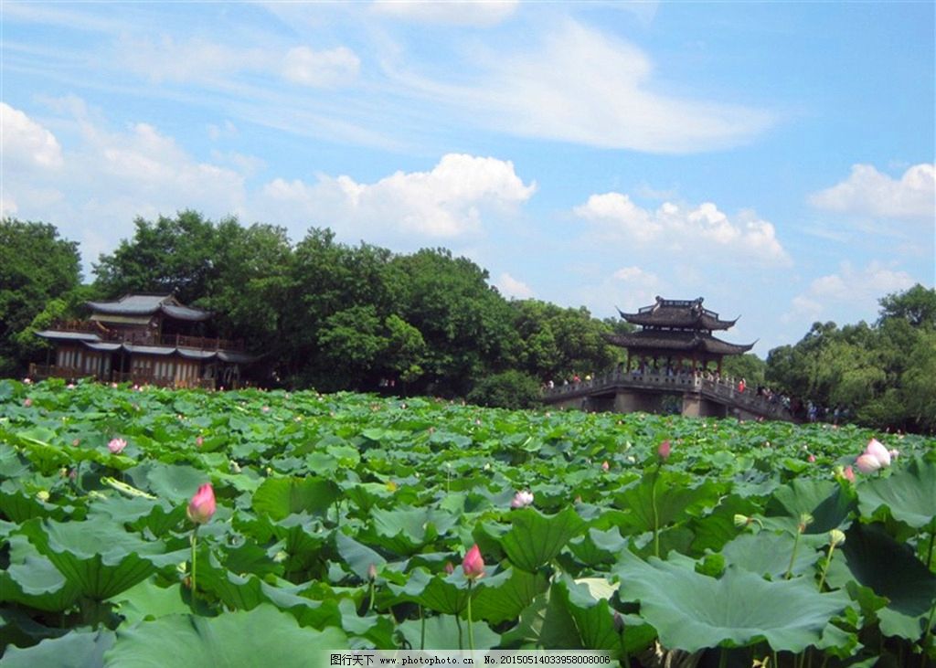 西湖手绘美景图片展示