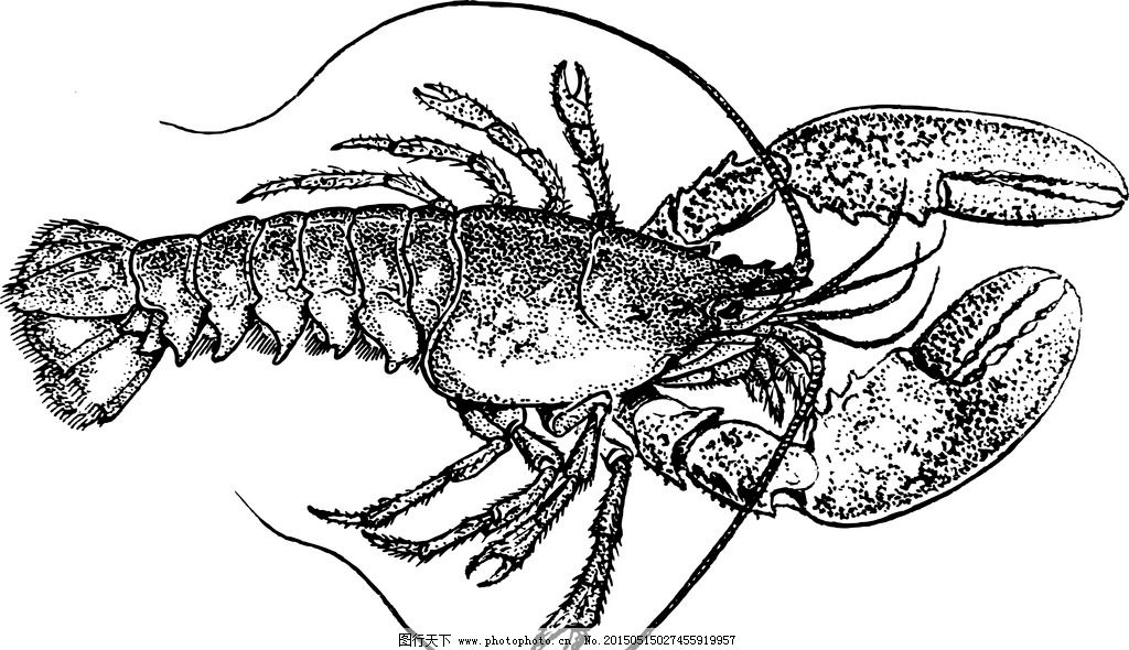 龙瞎手绘|手绘龙瞎