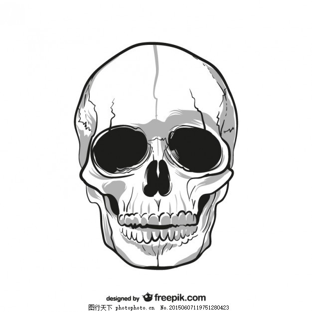 骷髅图,头骨 人类 绘画 死亡 载体 白色-图行天下
