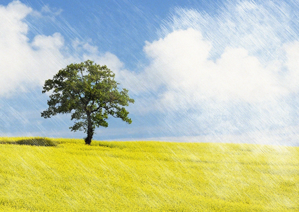 彩铅画风格春天风景 草地 山坡 大树 蓝天白云 素描 背景图片