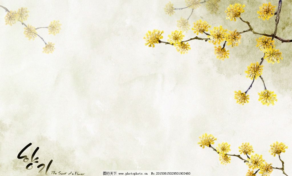 韩国小翠花素材图片