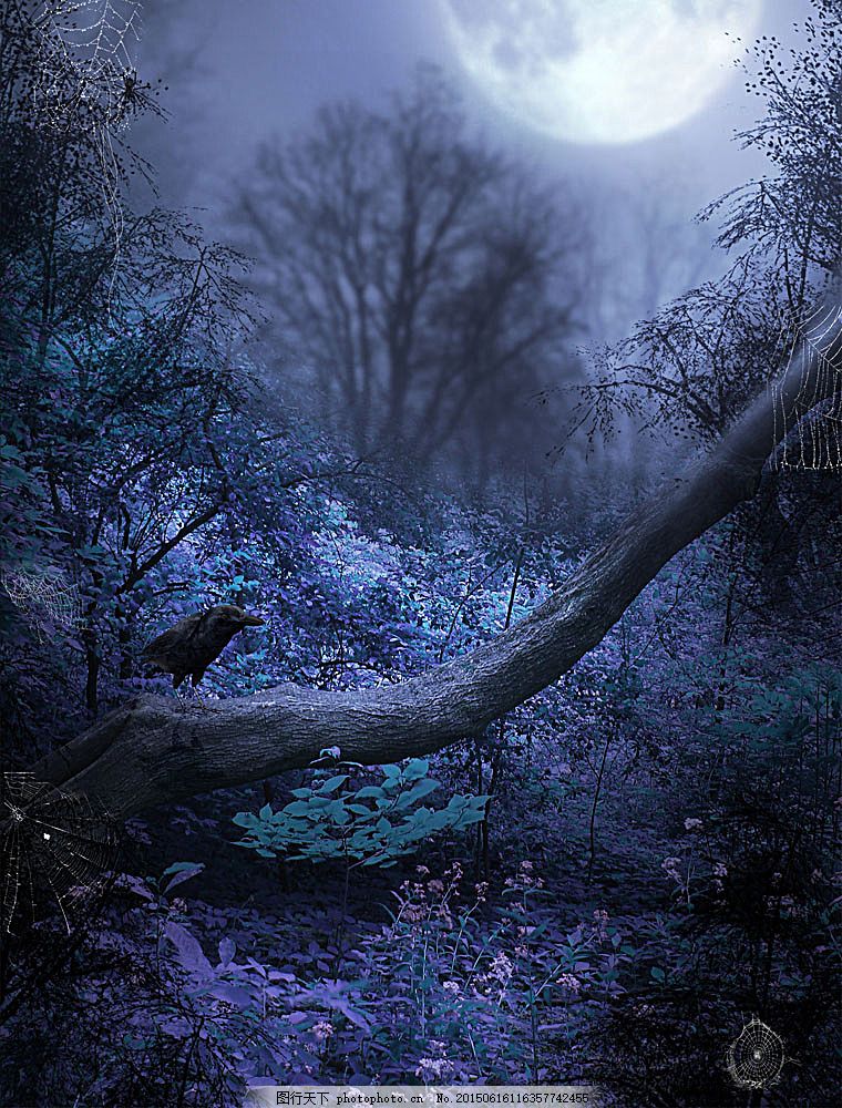 童话 唯美 大自然 森林 草地 朦胧 夜景 树枝 乌鸦 诡异 自然风景