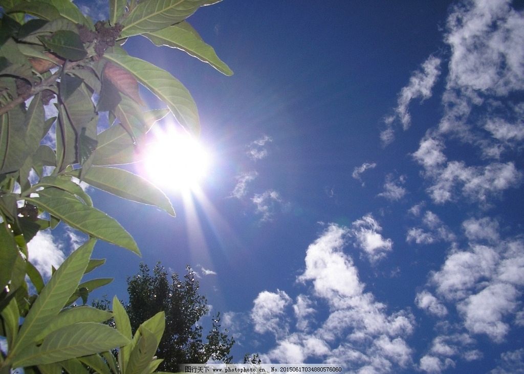 阳光明媚图片