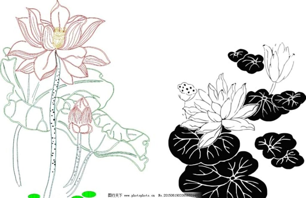 花 荷花 线条图 荷叶 矢量图 景色画 风景 设计 其他 图片素材 cdr图片