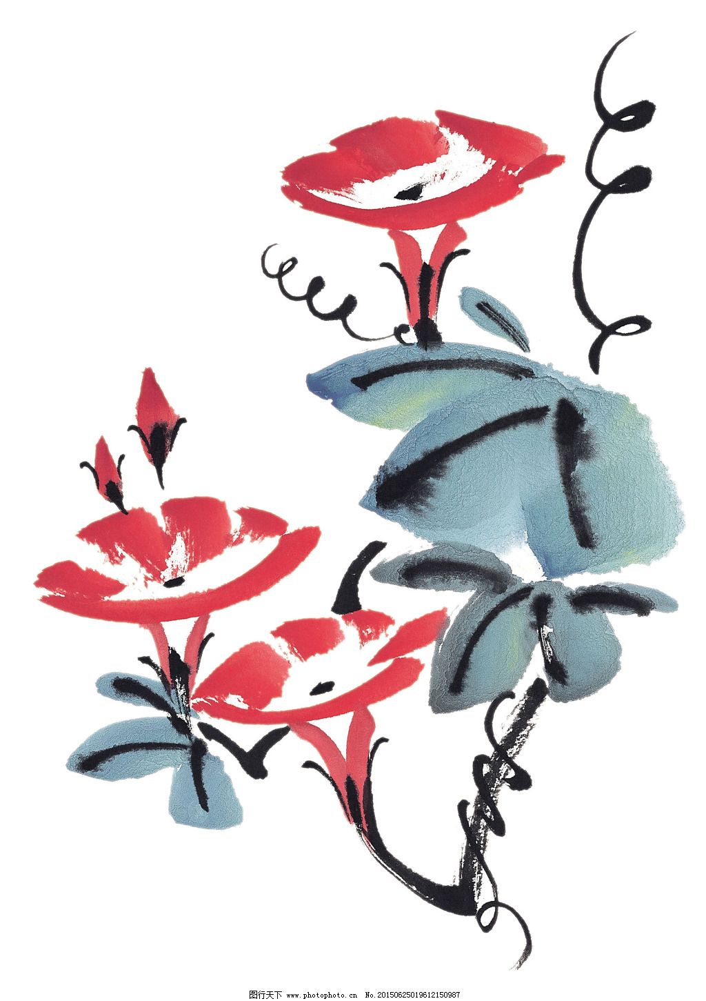 工笔画牵牛花中国画