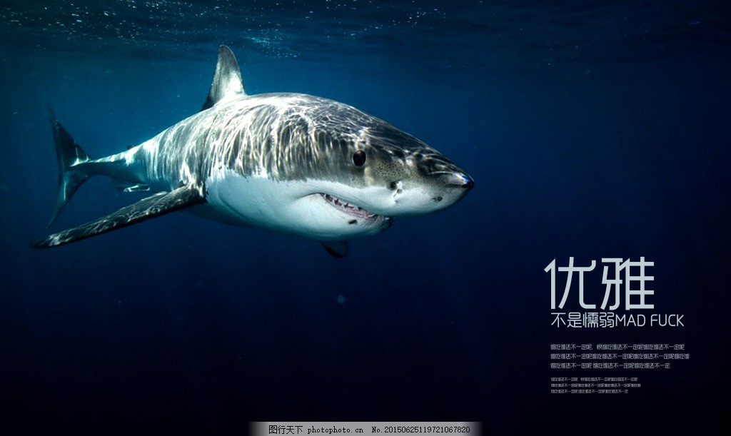 深蓝鲨鱼图片素材,深蓝鲨鱼背景 深海图片素材 优雅不是懦弱-图行天下图库