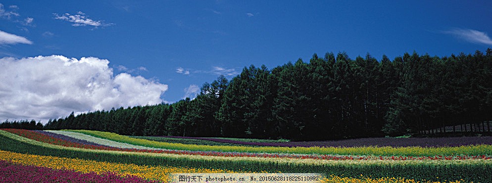 旅游拍摄婚纱照背景图片