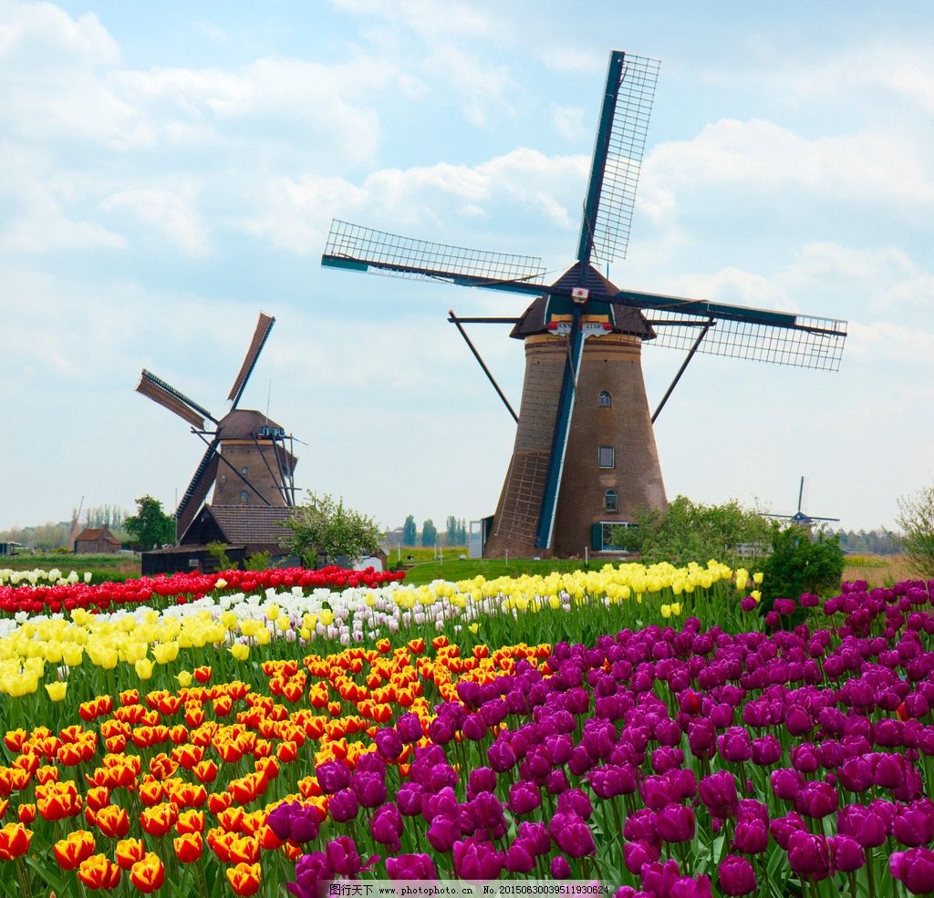 荷兰风车高清风景桌面壁纸-壁纸图片大全