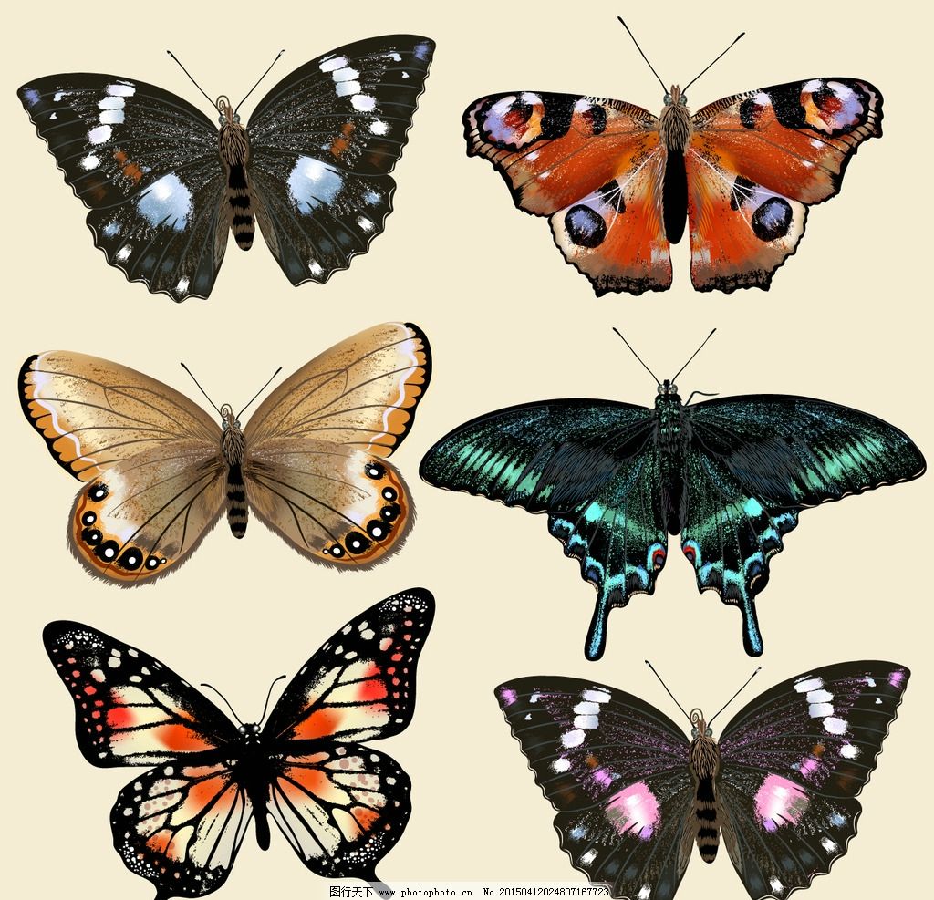 春天花丛中飞舞的蝴蝶高清图片下载-正版图片500804024-摄图网