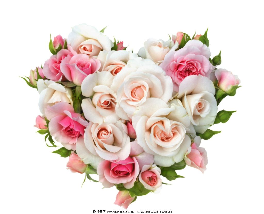 心形玫瑰花图片素材-编号30312360-图行天下