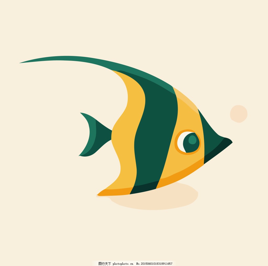 稀有金鱼，百度都找不到它的信息，给你们分享3条种鱼_哔哩哔哩_bilibili