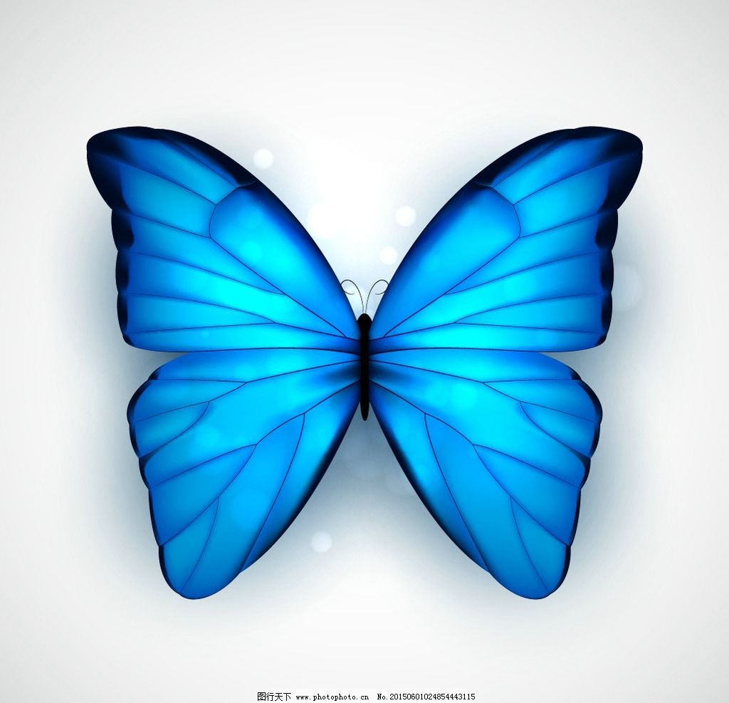 蓝色蝴蝶图片素材-编号09324555-图行天下