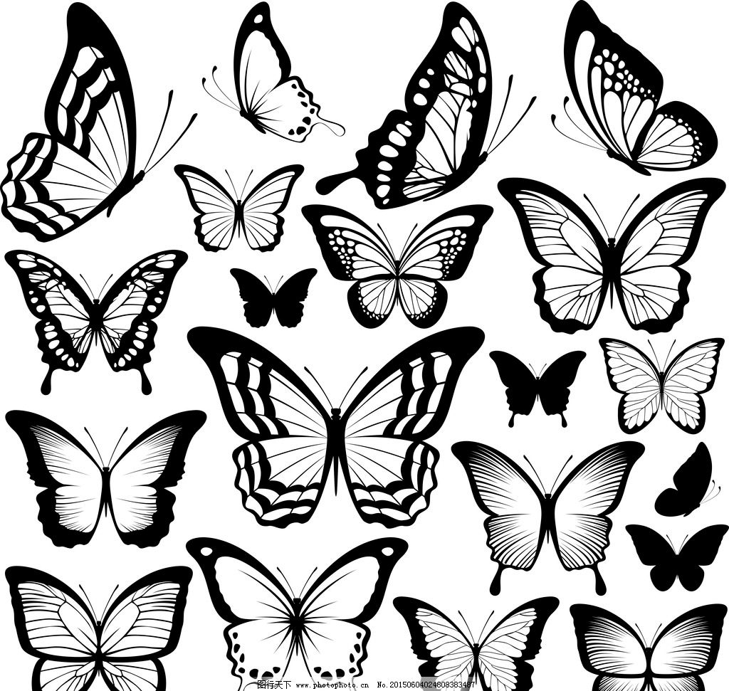 黑白色的蝴蝶图片素材_免费下载_svg图片格式_高清图片400034092_摄图网