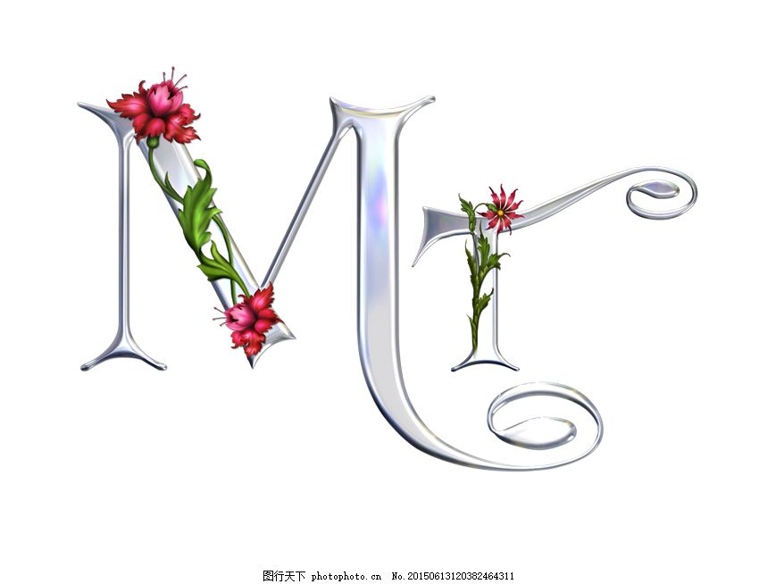 MT字母,MT,字母,藤蔓字母,名字,缩写,psd,白色