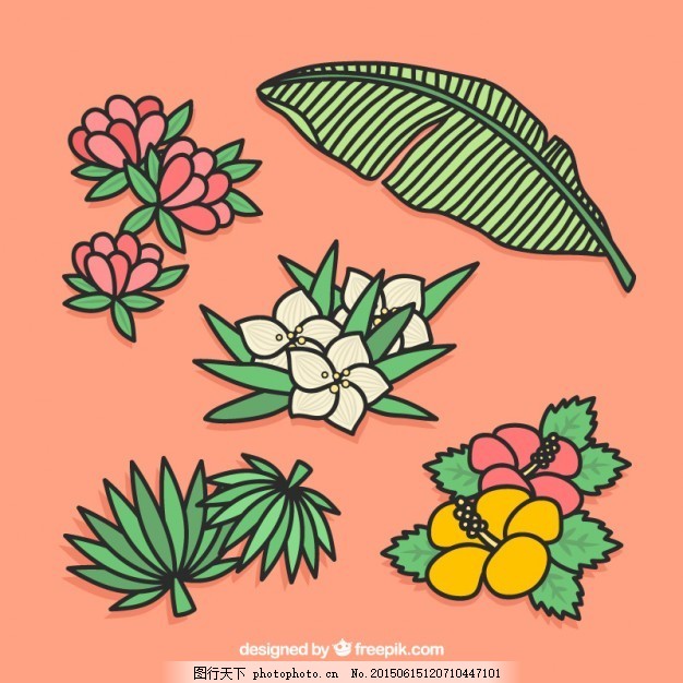 外来植物的采集图片 纹理边框 设计元素 图行天下素材网